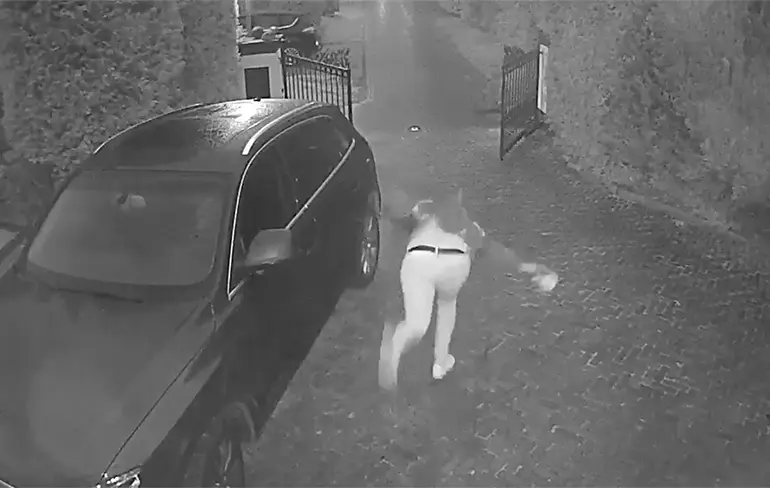 Whiplash, maanden fysio, pijnlijke hand en gedeukt ego, maar we hebben gelachen!