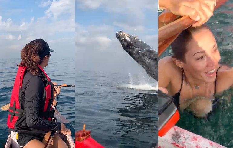 Wow, van dichterbij ga je echt niet een walvis zien in Rio de Janeiro