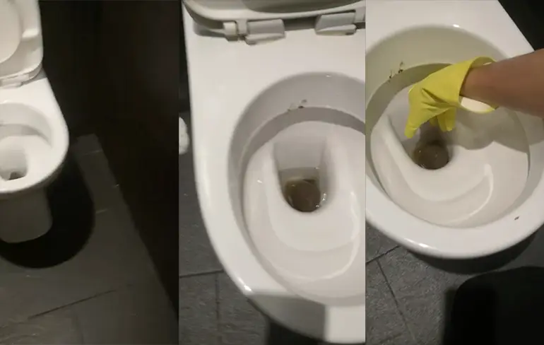 Wow, voor dat soort formaten zijn wc's niet gebouwd