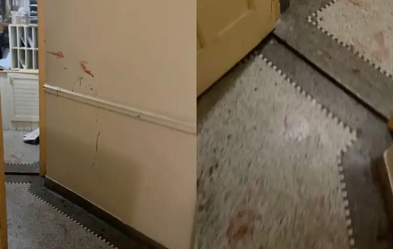 WTF is er gebeurd in een woning in Simonsstraat in Delft? Deel 2
