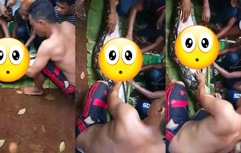 WTF: Vermiste vrouw teruggevonden in buik 8 meter lange python