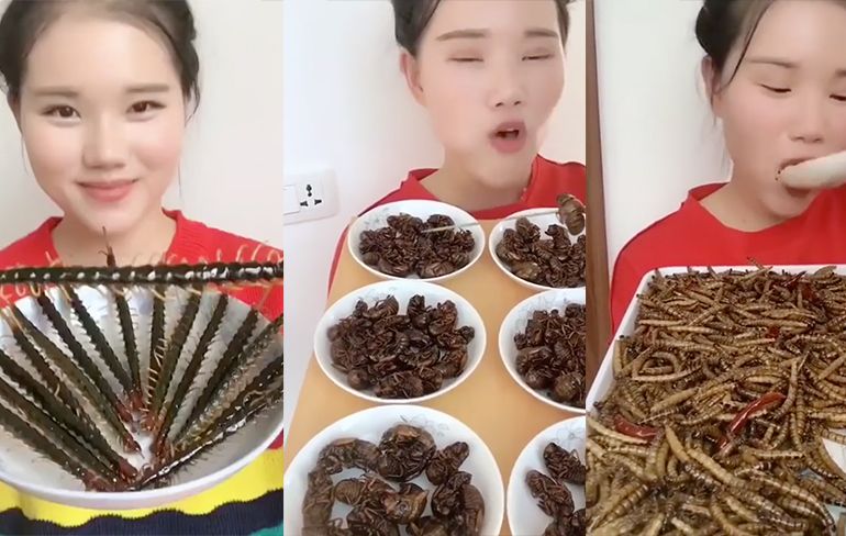Zelfs insecten zijn niet veilig in Chinese keuken