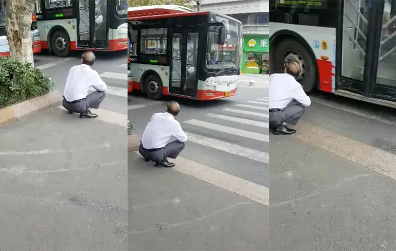Zit die vreemde vogel nu op de bus te wachten?