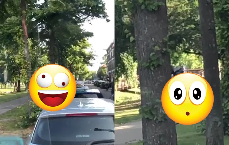 Zit je te schaften in de auto, heb je niet zo fris uitzicht