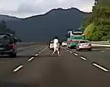 Vrouw valt uit auto op de snelweg?