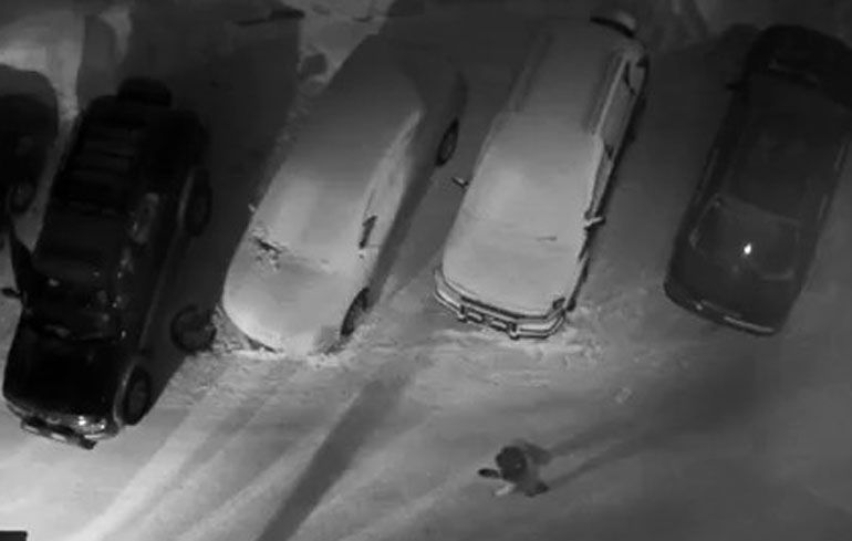 Gast die niet kan parkeren schiet vrouw dood in Novosibirsk