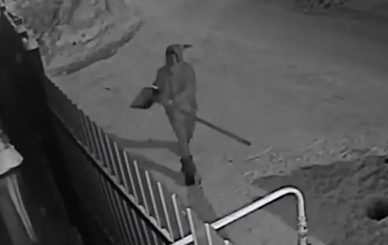 WTF: Waar heeft deze hond dit aan te danken?