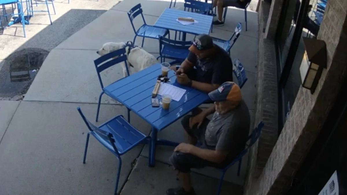 Otto de Golden Retriever kun je beter thuislaten tijdens een bespreking