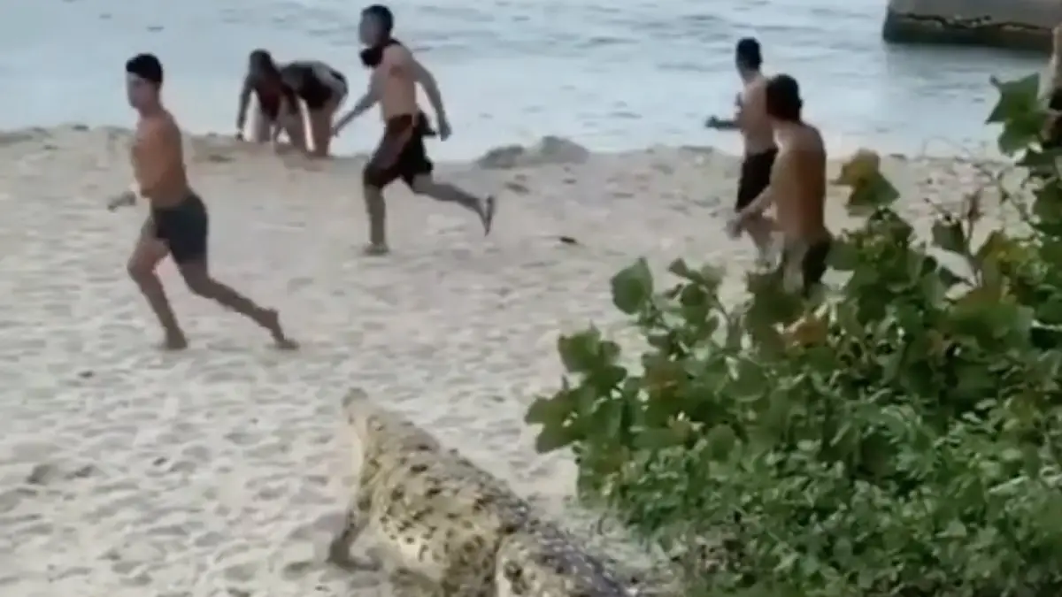 Bezoeker van Parque Tayrona laat toeristen rennen
