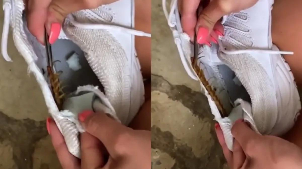 Pssst, zit een mega duizendpoot in je sneaker…