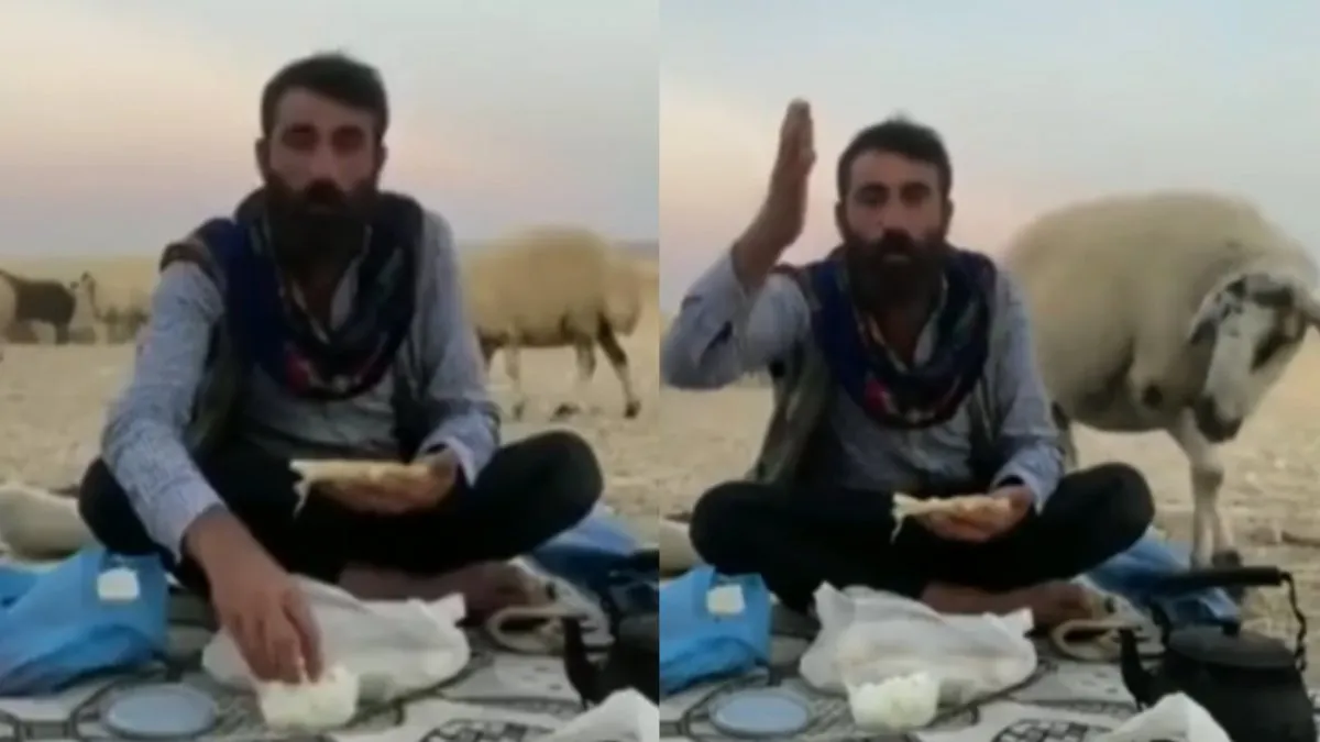 Food review vanuit de zandbak verloopt niet vlekkeloos