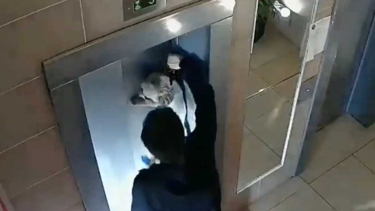 Held zonder cape weet hondje te redden in Moskou