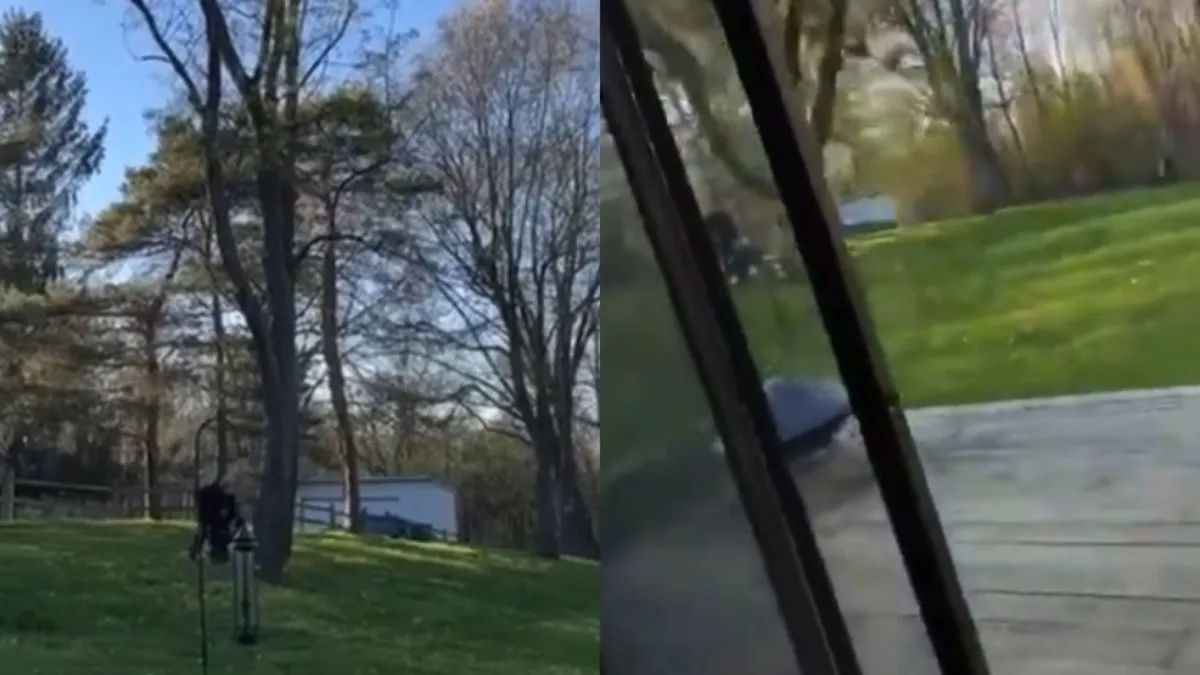 Boom omhalen lukt, maar niet geheel volgens plan