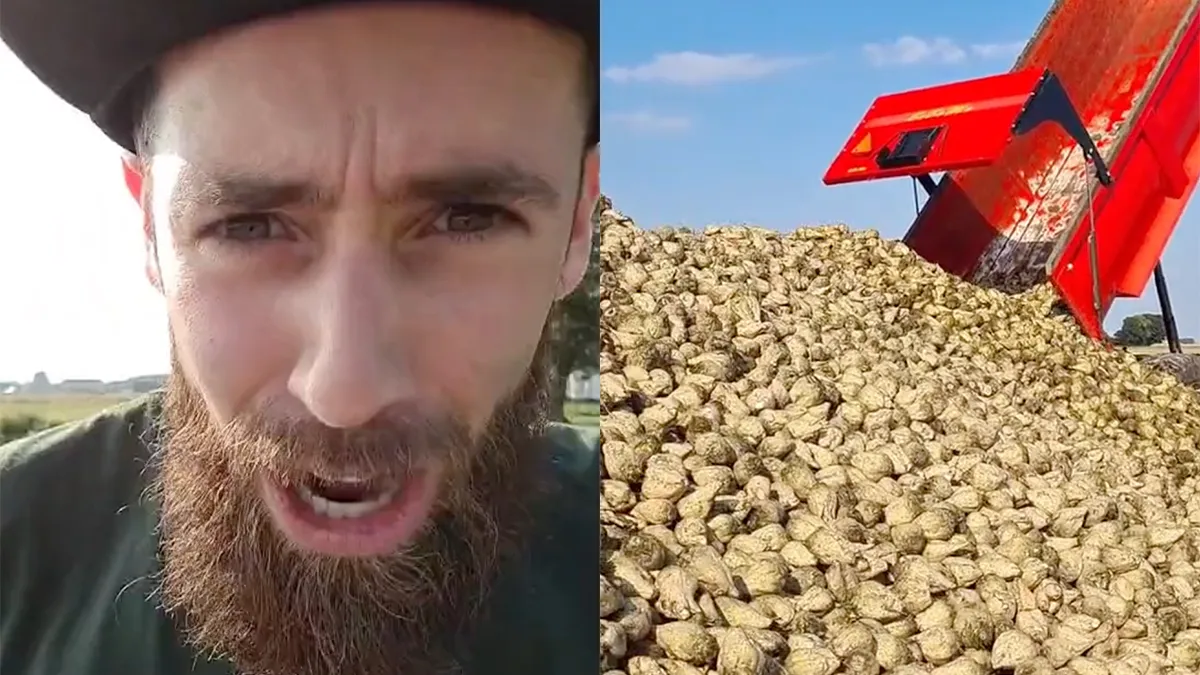 De Bieten campagne 2021 is begonnen: Dikke bakken met Biet'n jonguh!