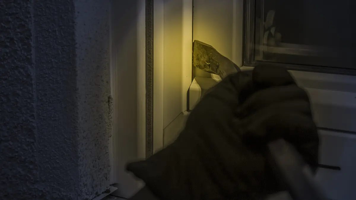 Op dievenpad bij bekende Nederlanders