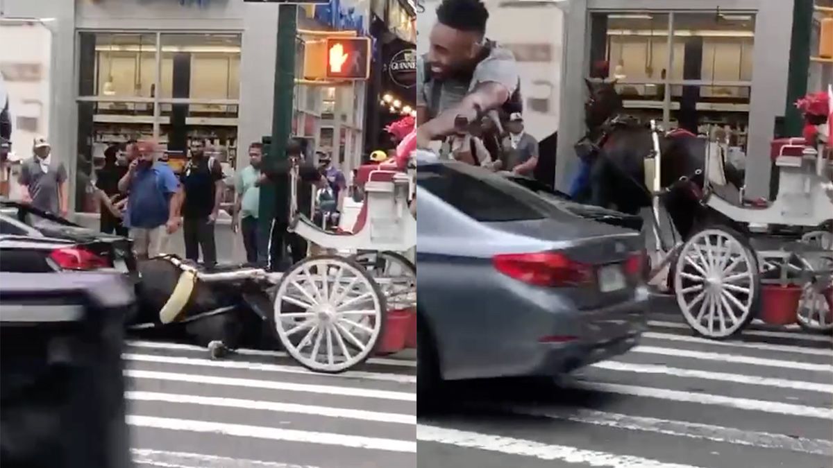 Paard in New York heeft botsing gehad met auto