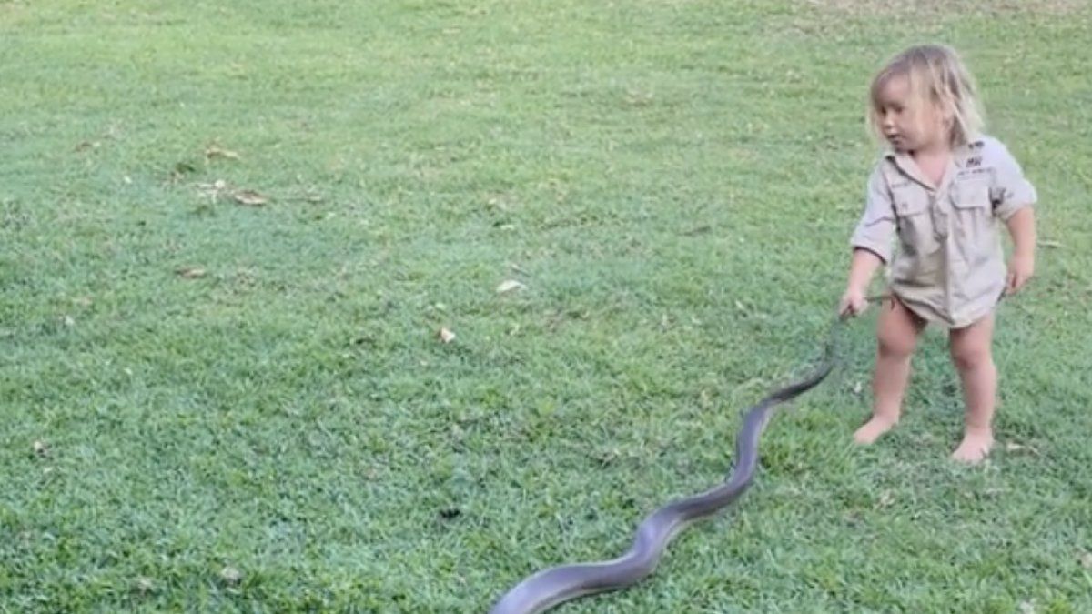 Matt Wright leert zoontje aan staart van flinke slang trekken