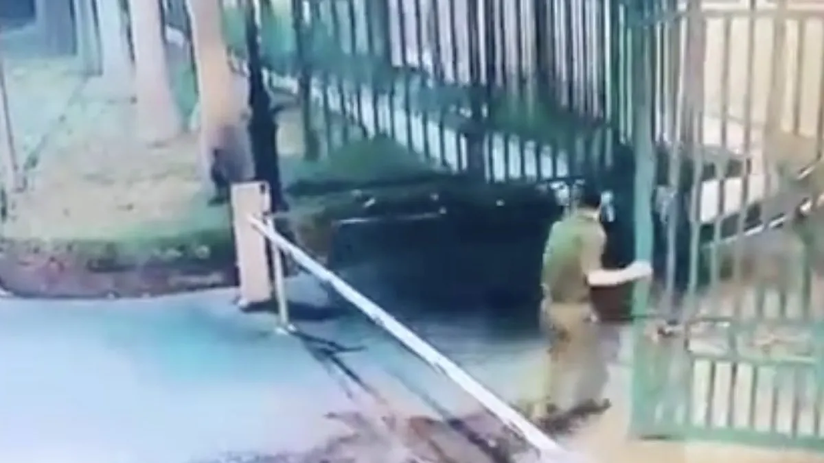 Chef hek weet zichzelf lekker bezig te houden