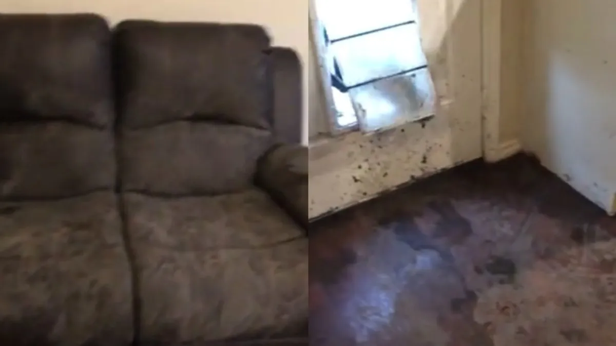 Neem een Doberman Pincher zeiden ze, dat is leuk zeiden ze