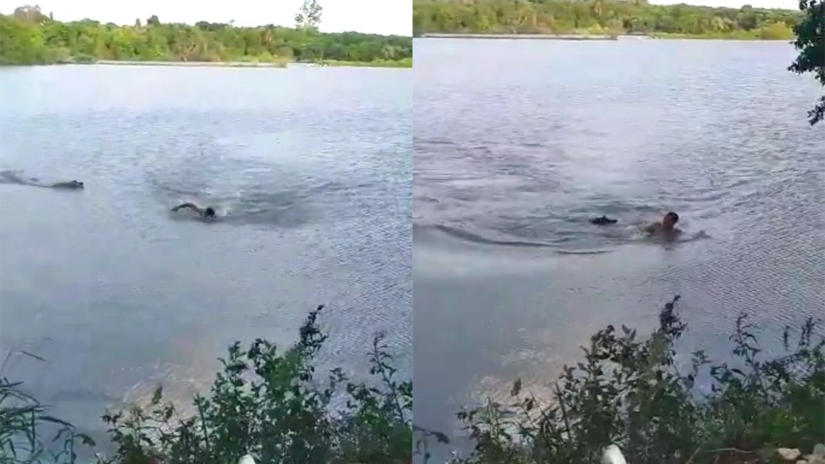 Man aangevallen door krokodil tijdens zwemmen in meer in Campo Grande