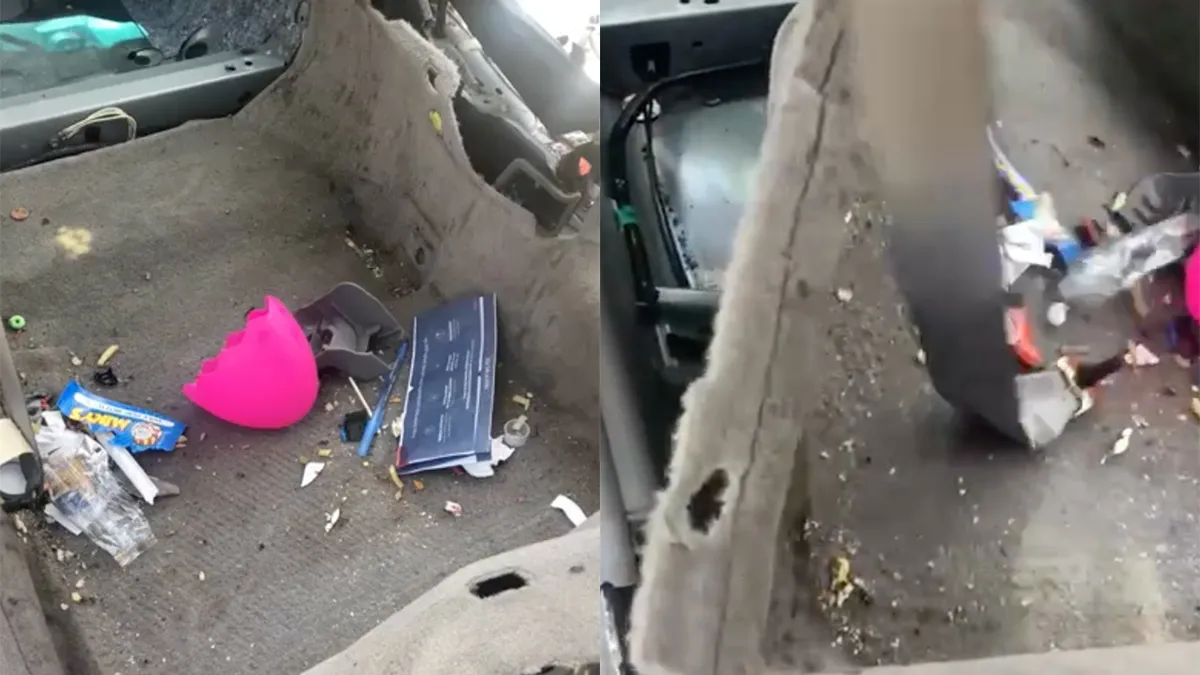 Misschien moet je je auto wat beter schoon maken