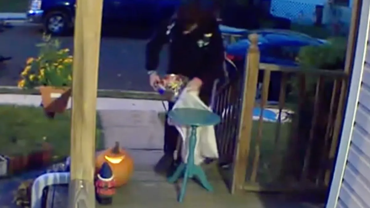 Aso Halloween koter jat niet alleen alle snoep…