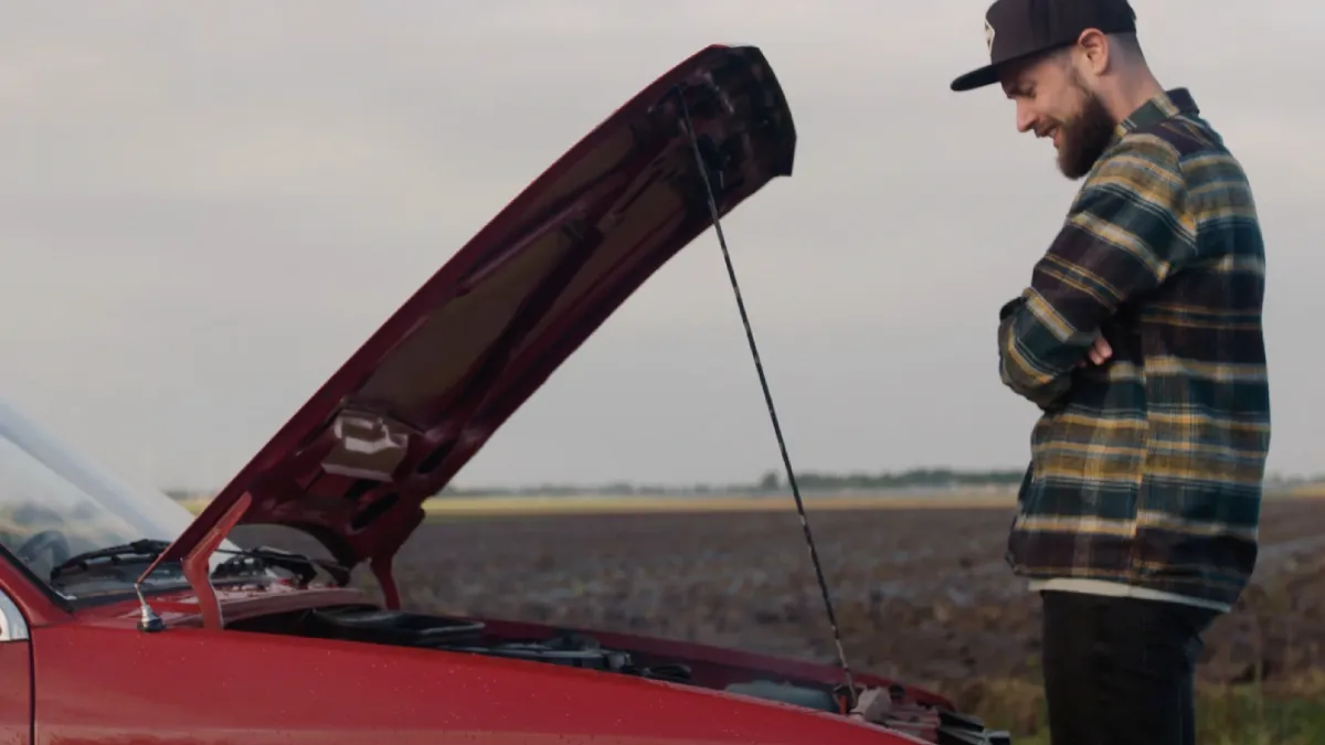 TikTok Tammo & Mooi Wark brengen ons De Bietn Blues