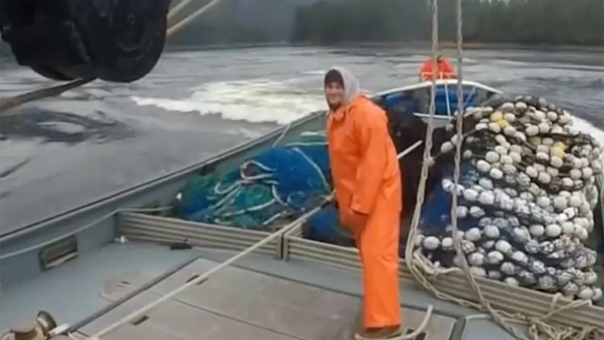 Boten geven elkaar een kusje en daardoor kopt een man een mast