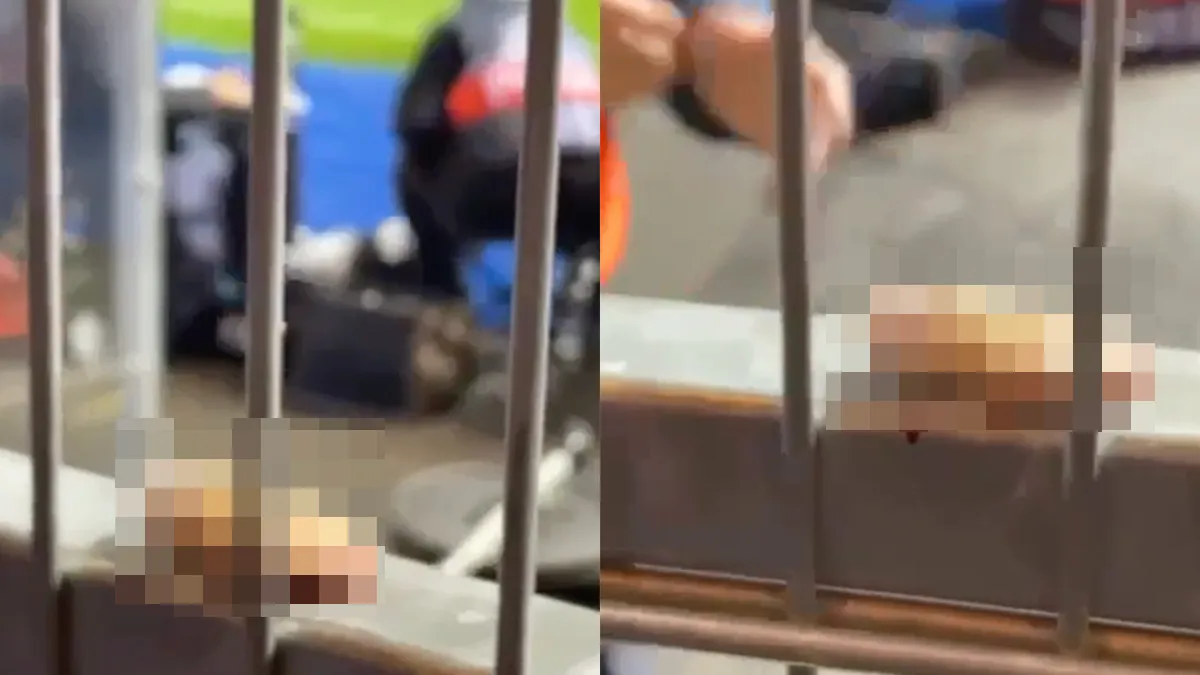 Fan van West Ham verliest vinger, steward legt vinger op een hek