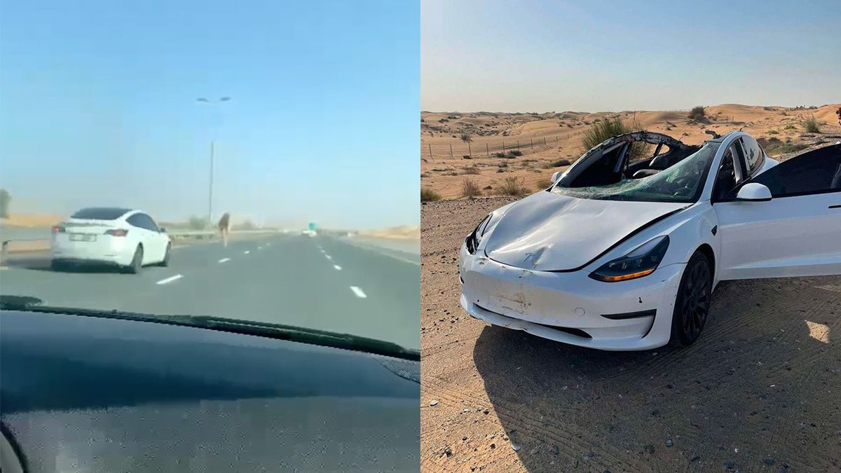 Tesla rijder in de Verenigde Arabische Emiraten ziet kameel over het hoofd