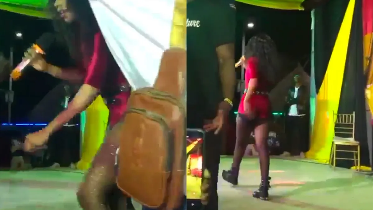 Zangeres heeft geen zin om aangerand te worden en trapt van zich af