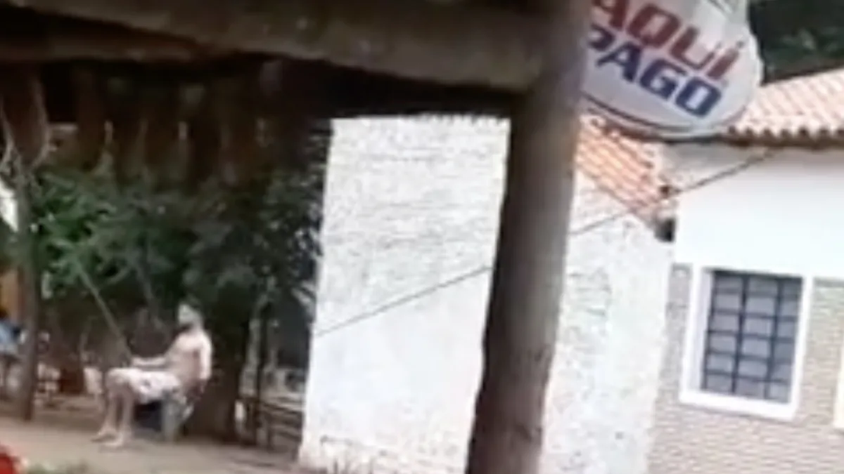 Lekker schommelen op de elektriciteitskabels joh