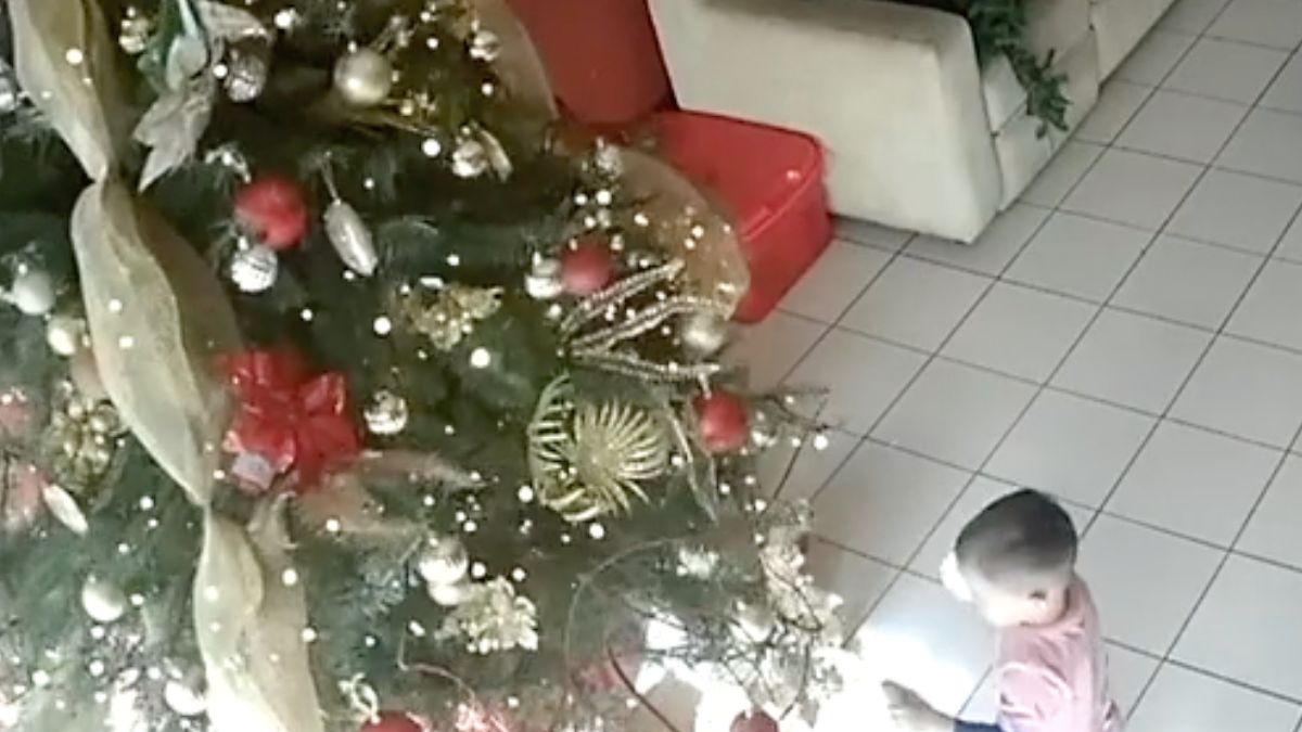 Kleine is zich van geen kwaad bewust na kerstboom incidentje