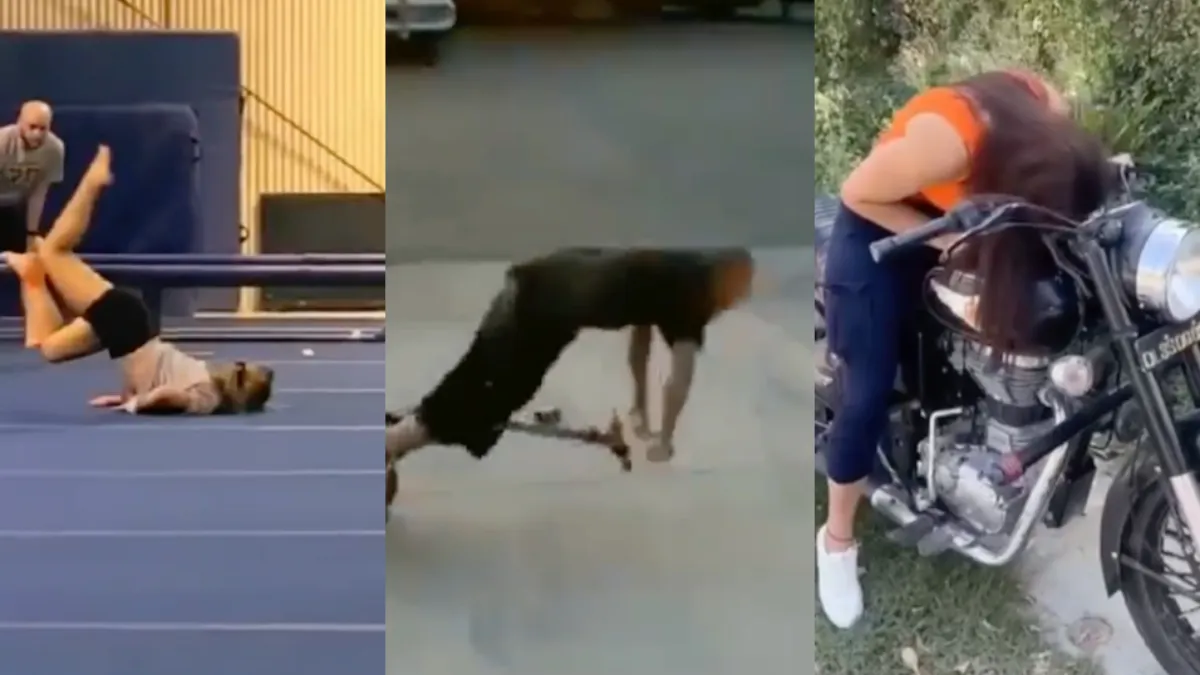 Mini compilatie van hoe 2021 een beetje aanvoelde