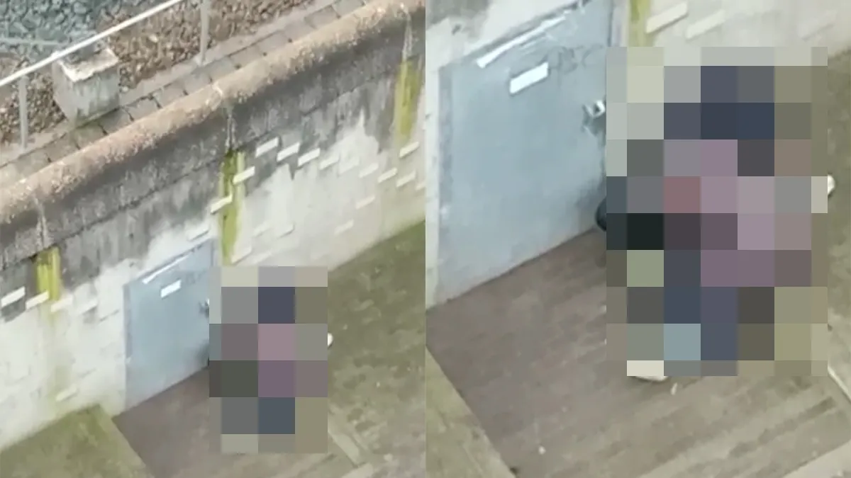 Bouwvakkers op dak van Utrecht Centraal zien bijzonder schouwspel