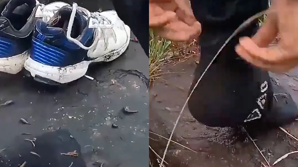 Neem je toch een paar nieuwe vrienden mee na wandeltocht in de regen