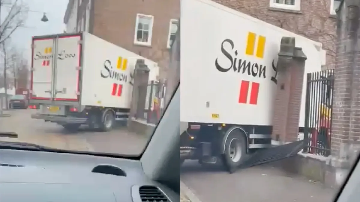 Ondertussen in Delft: Barre gaander heeft geen zin in een muurtje