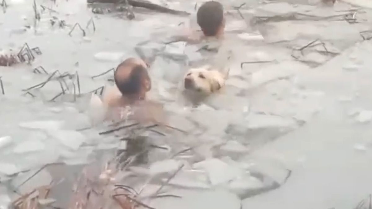 Spaanse agenten zijn helden: Springen halfnaakt ijskoud water in om hond te redden