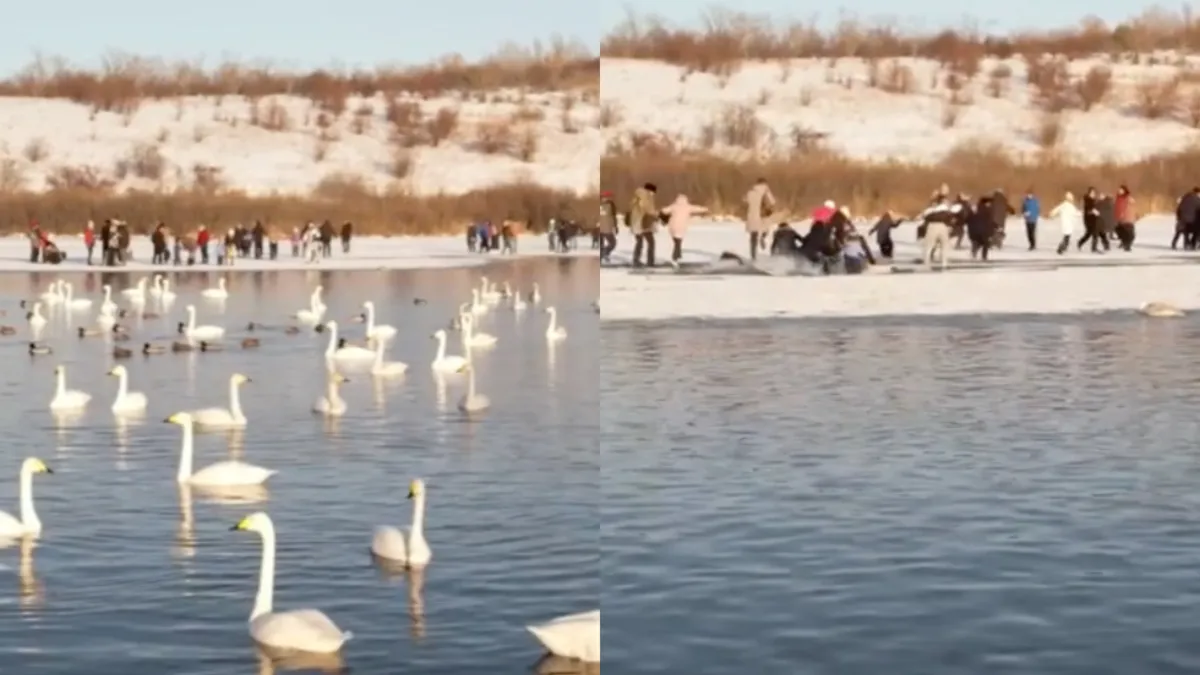 Drone legt alles keurig netjes vast, zelfs het ongewenste deel