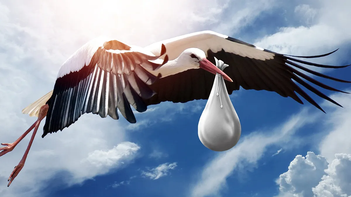 Internet kan uit: Nederlandse kersverse moeder deelt 'too much' op social media