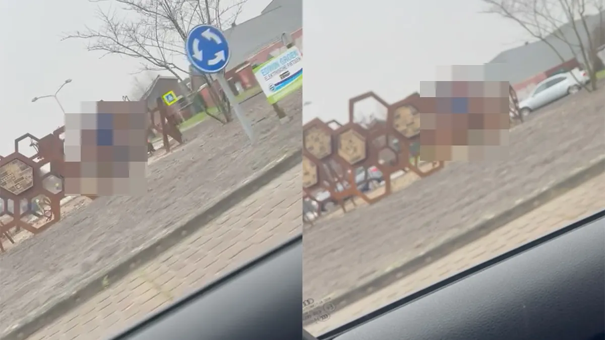 Natuurfilm opgenomen op een rotonde in Assen