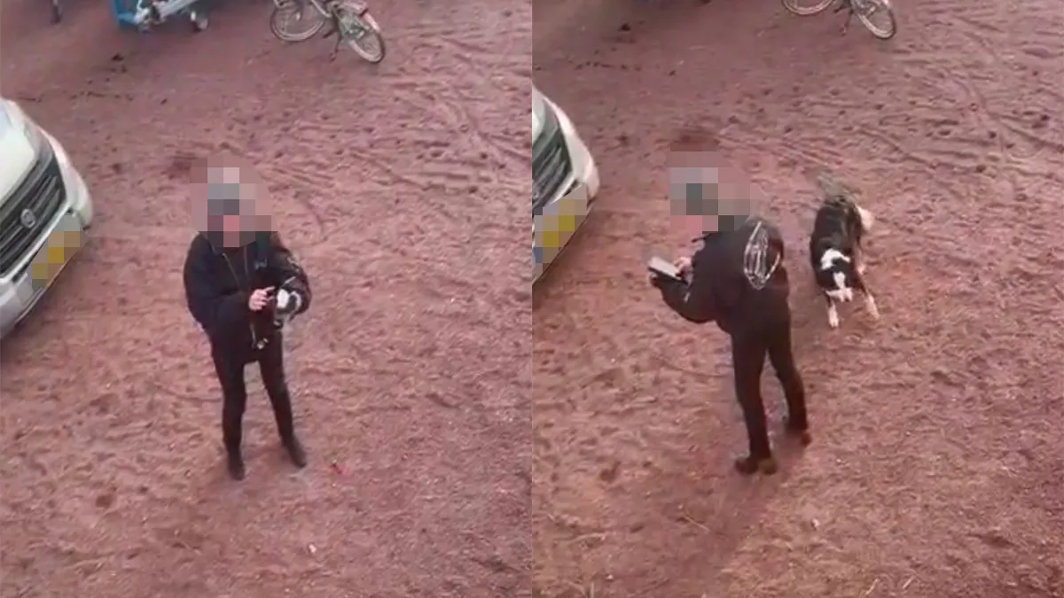 Ondertussen in Friesland: Ook het vervolg heeft duidelijk ondertiteling nodig