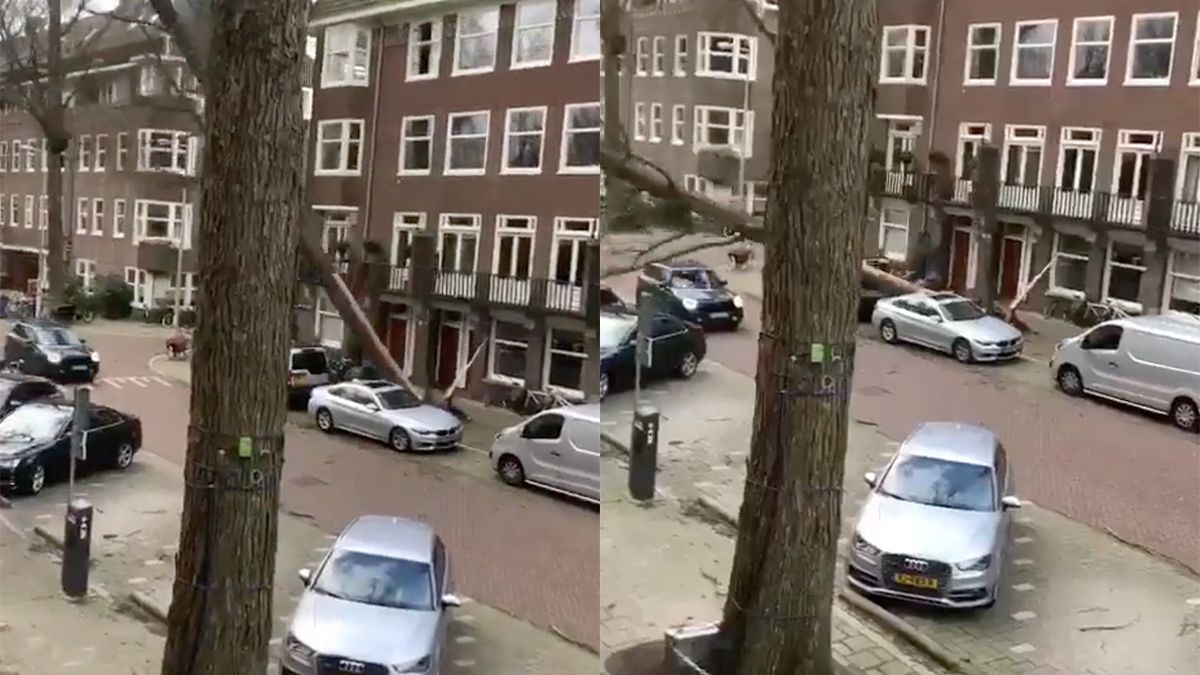 Boom valt door storm Eunice op achterkant van rijdende auto in Amsterdam
