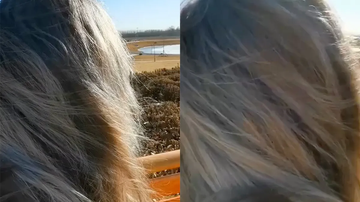 Een weelderige bos haar, maar zou je haar doen?