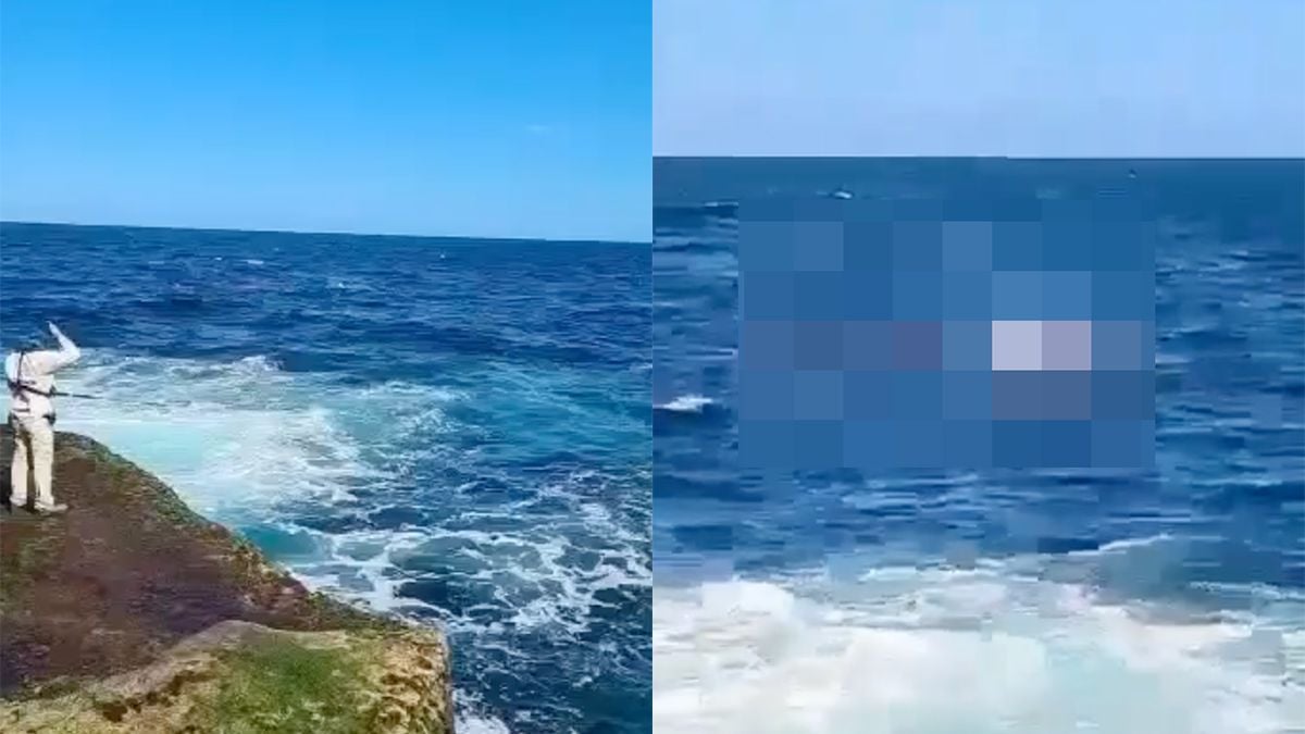 Gruwelijk moment op video vastgelegd dat zwemmer opgegeten wordt door haai bij Sydney