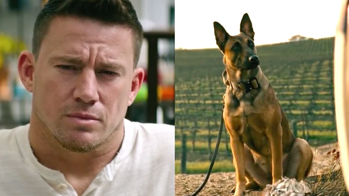 Trailer 'Dog': Channing Tatum kan het niet zo goed vinden met trouwe viervoeter Lulu