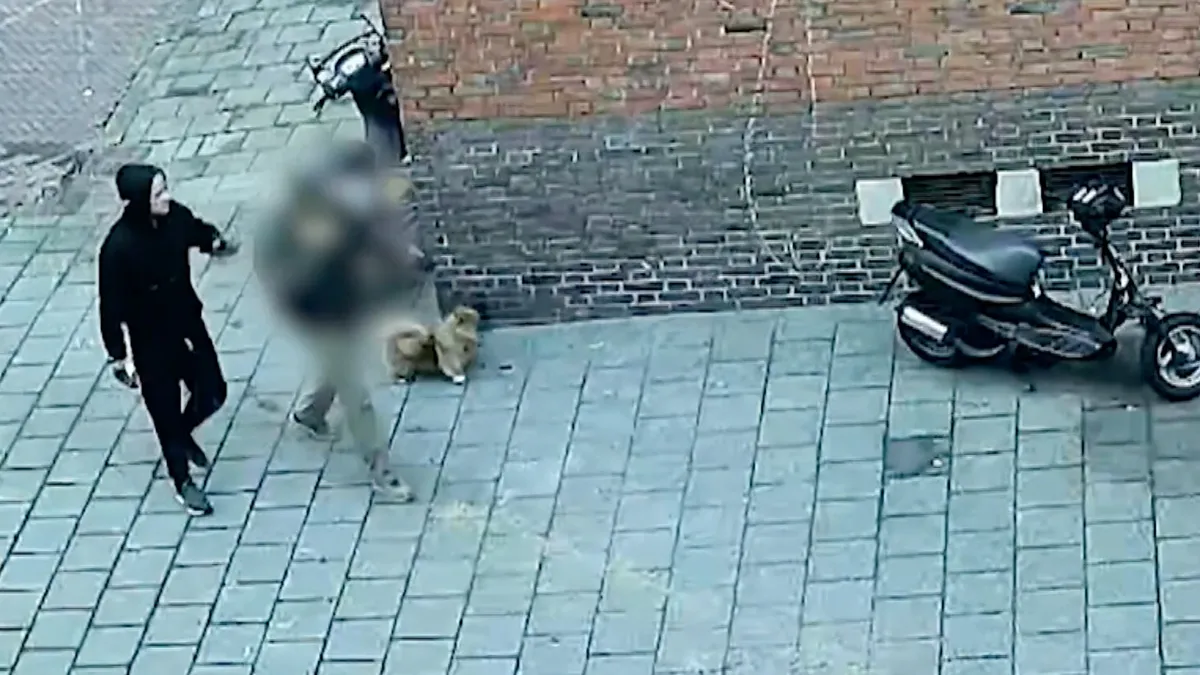 Boosmaker van de dag: Man (79) met hondje slachtoffer van ernstige mishandeling in Den Haag