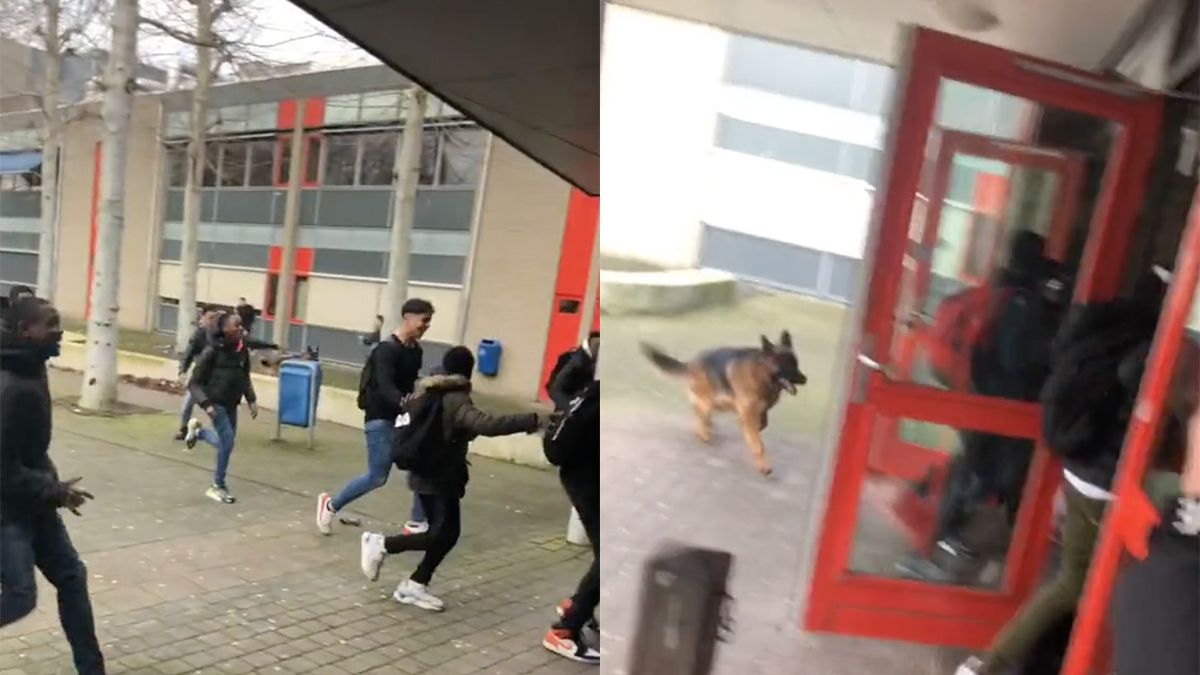 LOL! Alle mensen op schoolplein in Amsterdam vluchten voor hond
