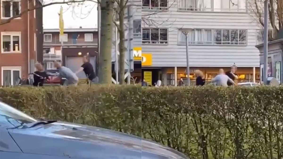 Vechtpartij in Groningen na mogelijke vergiftiging van hondje