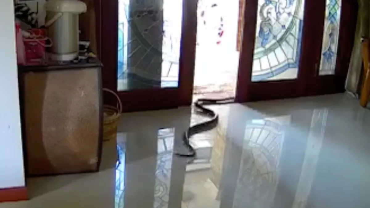 Komt er even anderhalve meter aan slang je huis binnensluipen